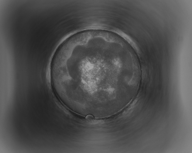 X0000100471238200806271135