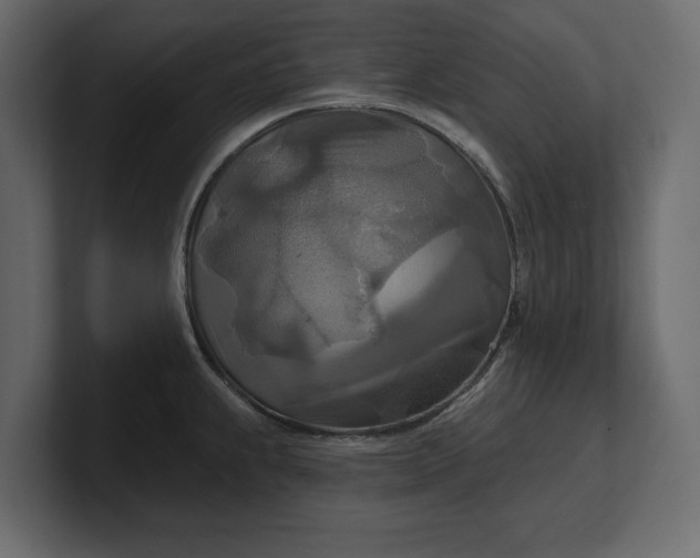 X0000100471239200806271135