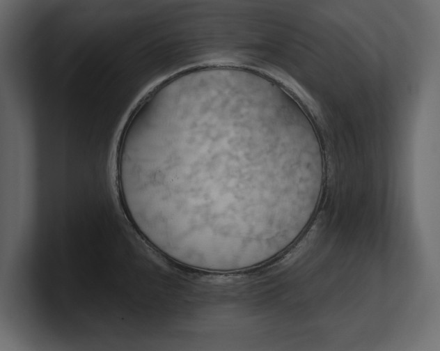 X0000100471240200806271135