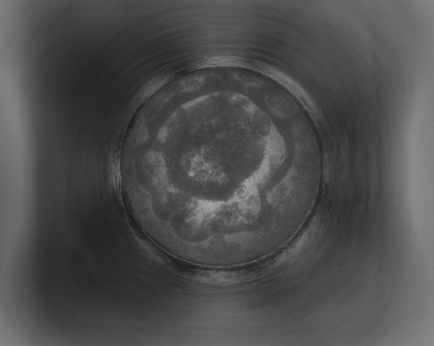 X0000100471241200806271135