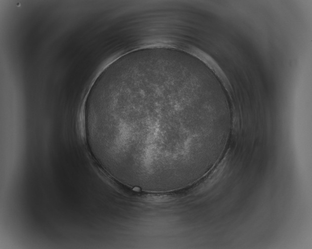 X0000100471242200806271135