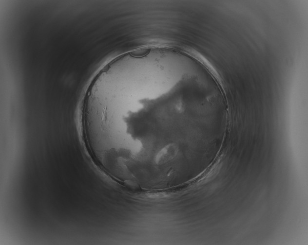 X0000100471243200806271135