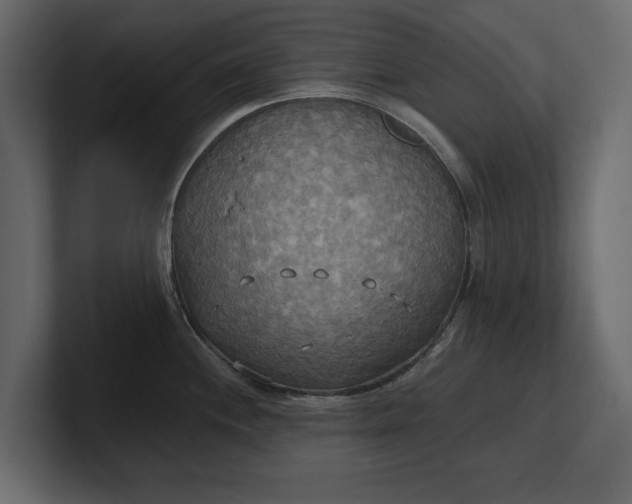 X0000100471244200806271135