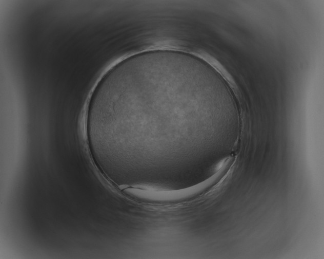 X0000100471246200806271135