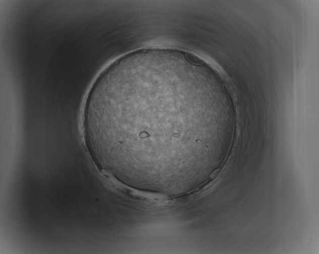 X0000100471248200806271135