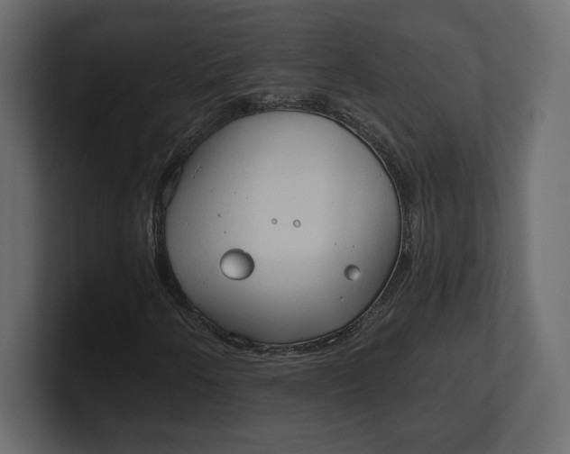 X0000100471250200806271134