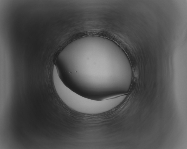 X0000100471252200806271134