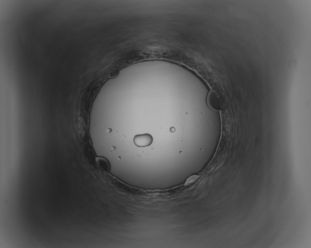 X0000100471253200806271134