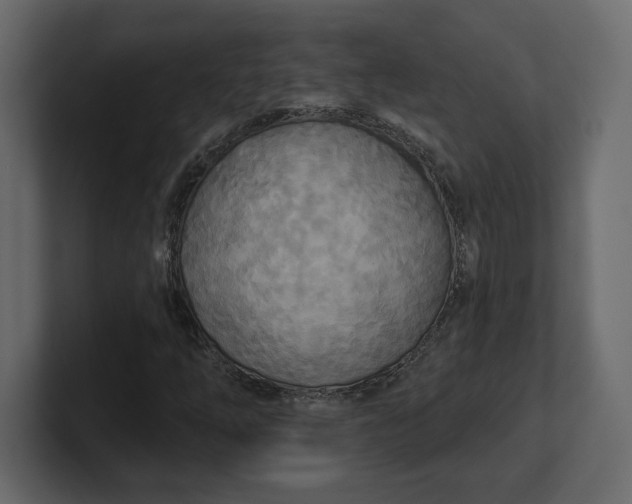 X0000100471254200806271134