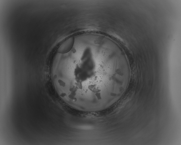 X0000100471255200806271134