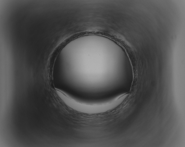 X0000100471256200806271134