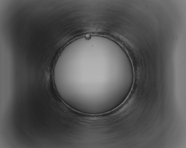 X0000100471257200806271134