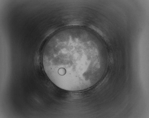 X0000100471258200806271134