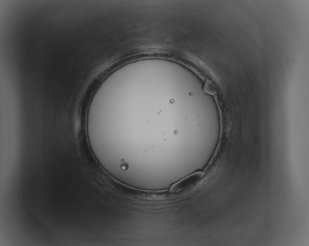 X0000100471261200806271134