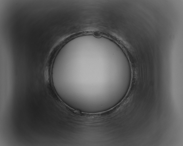 X0000100471262200806271134