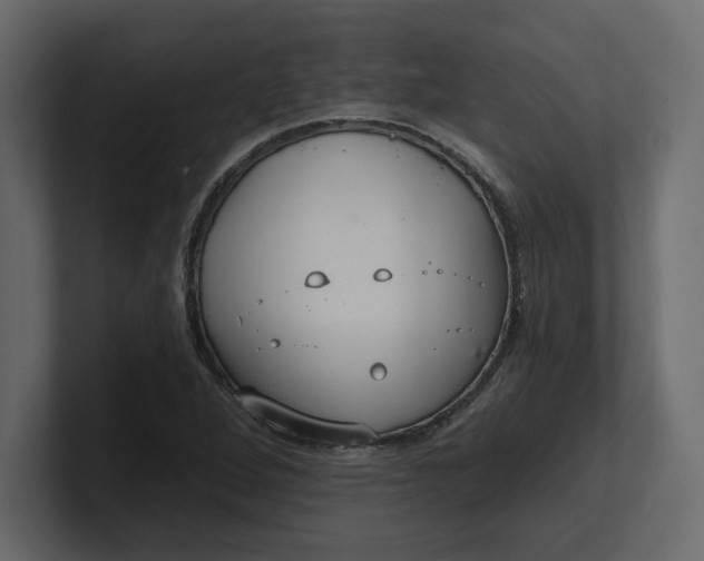 X0000100471264200806271134