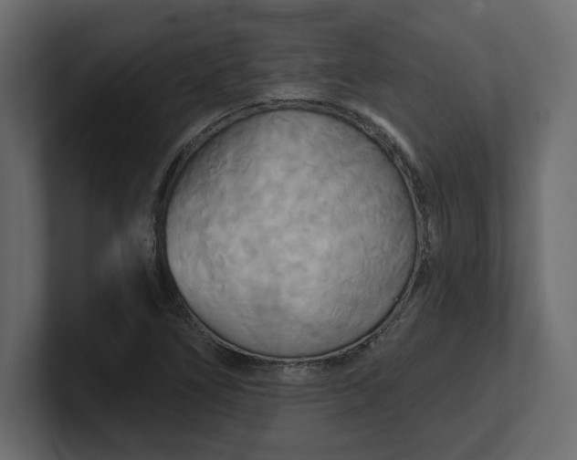 X0000100471266200806271134