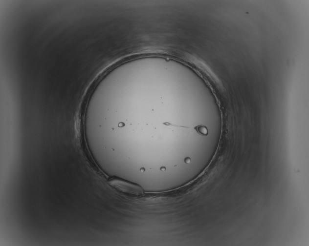 X0000100471268200806271134