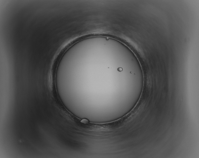 X0000100471270200806271134