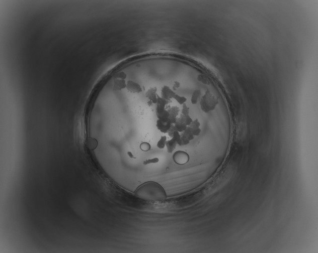 X0000100471271200806271134