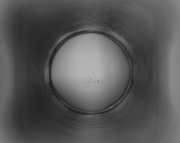 X0000100471272200806271134