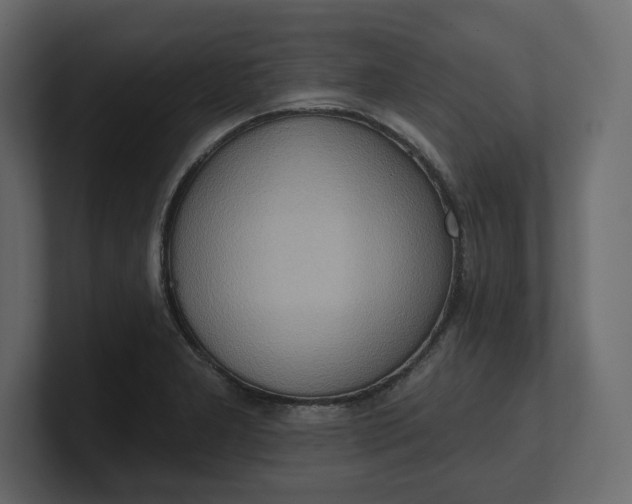 X0000100471277200806271134