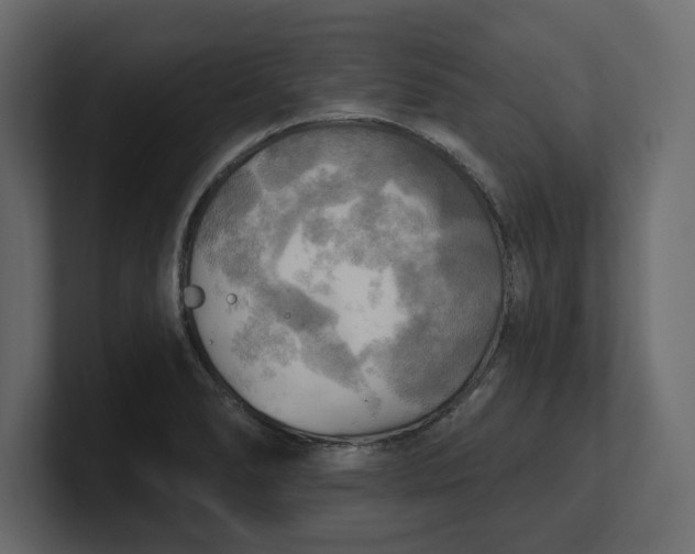 X0000100471278200806271134