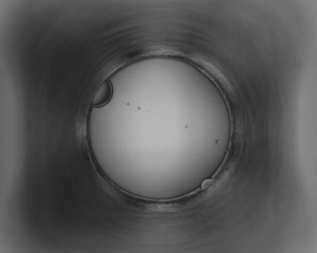 X0000100471281200806271134