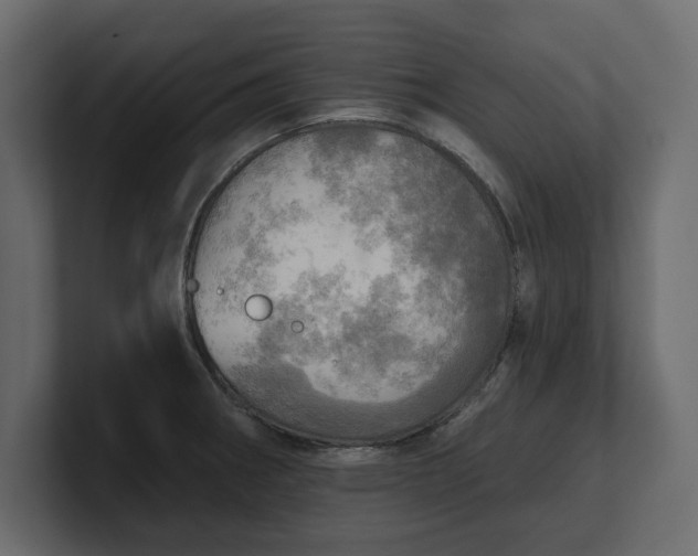 X0000100471282200806271134