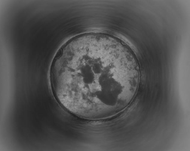 X0000100471283200806271134