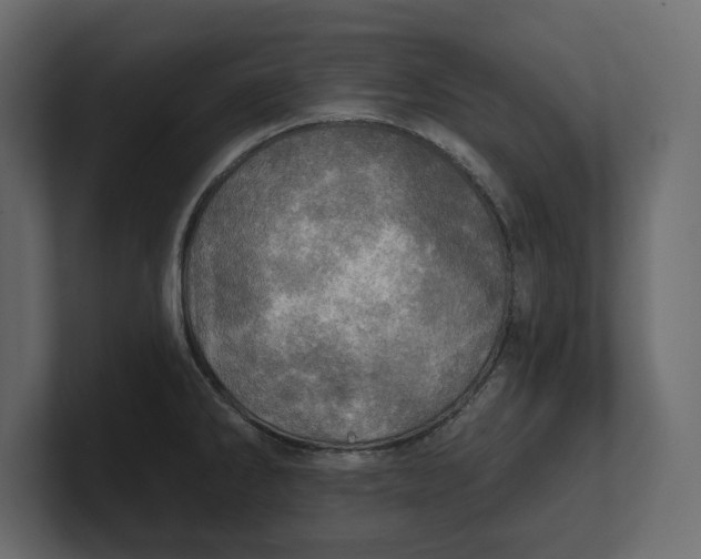 X0000100471286200806271134