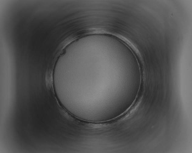 X0000100471289200806271134