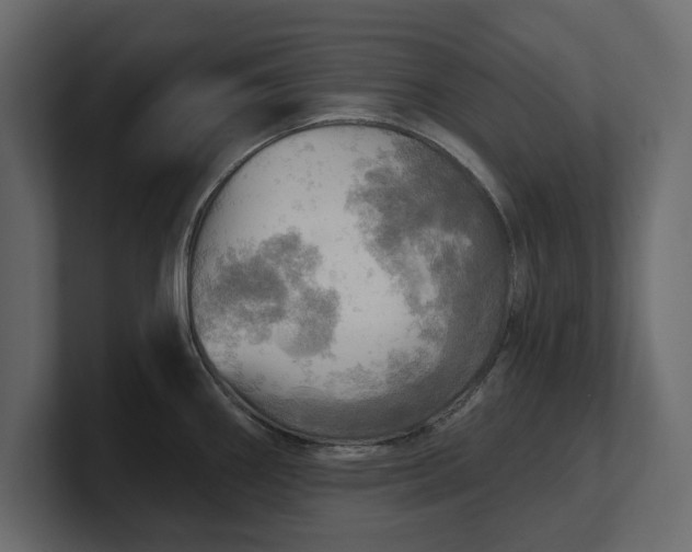 X0000100471290200806271134