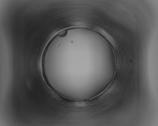 X0000100471291200806271134