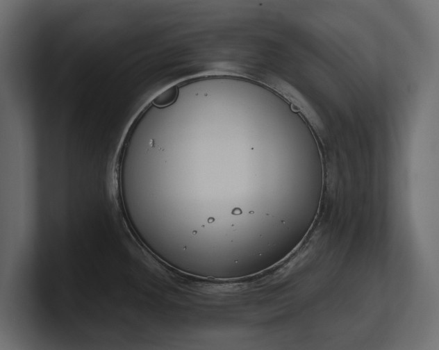 X0000100471292200806271134