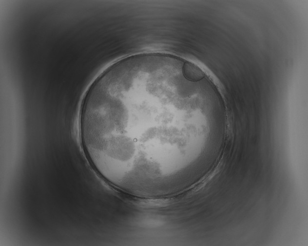 X0000100471294200806271134