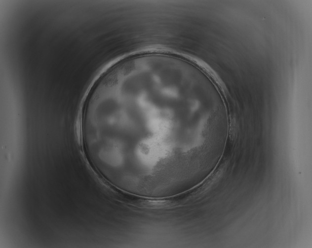 X0000100471295200806271134