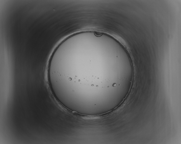 X0000100471296200806271134