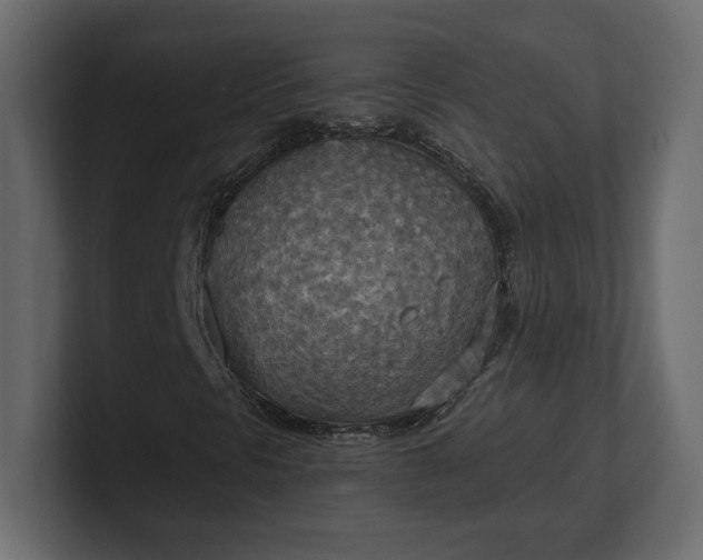 X0000100471297200806271133