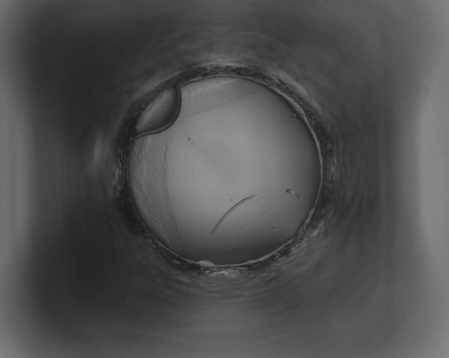 X0000100471303200806271133