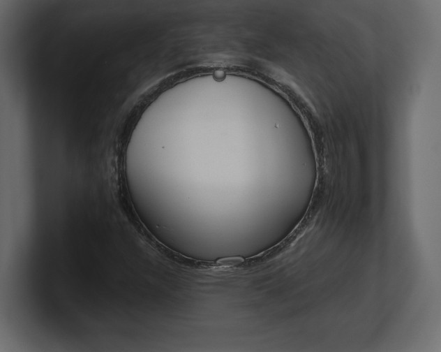 X0000100471304200806271133