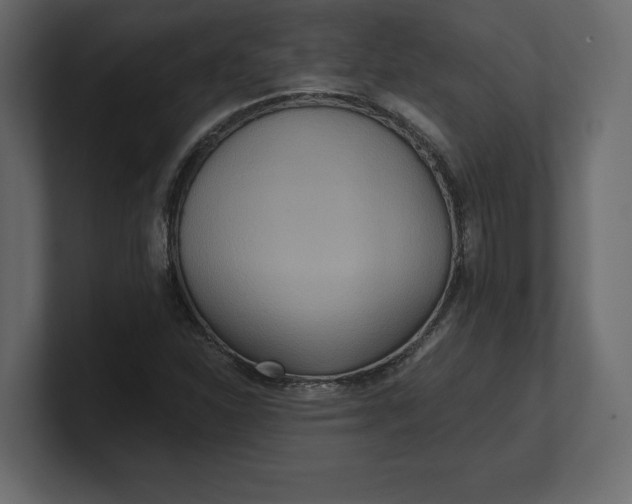 X0000100471310200806271133