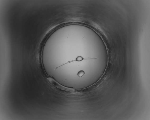 X0000100471312200806271133