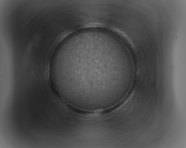 X0000100471313200806271133