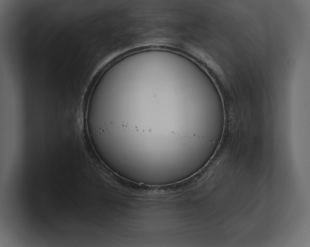 X0000100471316200806271133