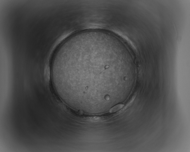 X0000100471317200806271133