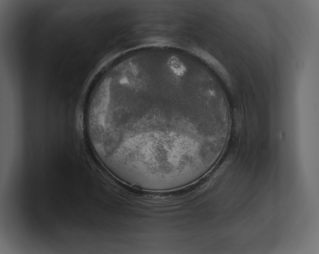 X0000100471318200806271133