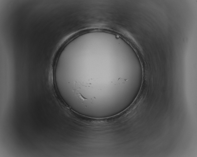 X0000100471320200806271133