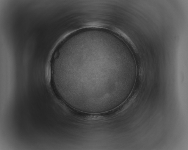 X0000100471323200806271133