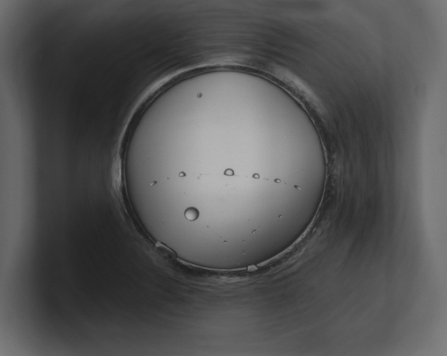 X0000100471324200806271133